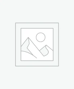 Holiday and Seasonal